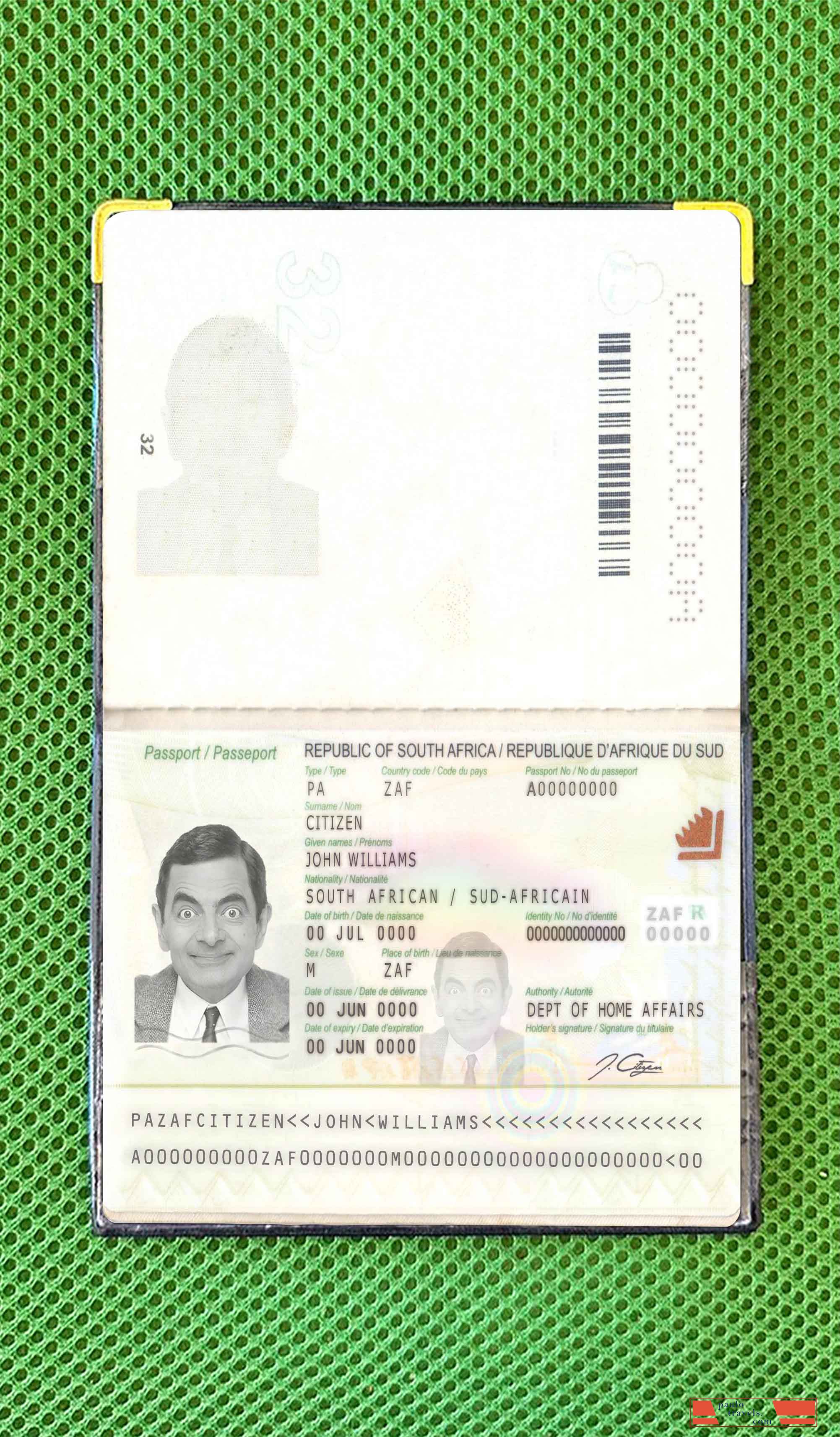 South Africa 2009 present photo look PSD template